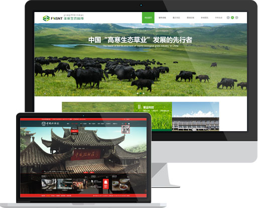 品牌網(wǎng)站建設(shè) 品牌網(wǎng)站建設(shè)