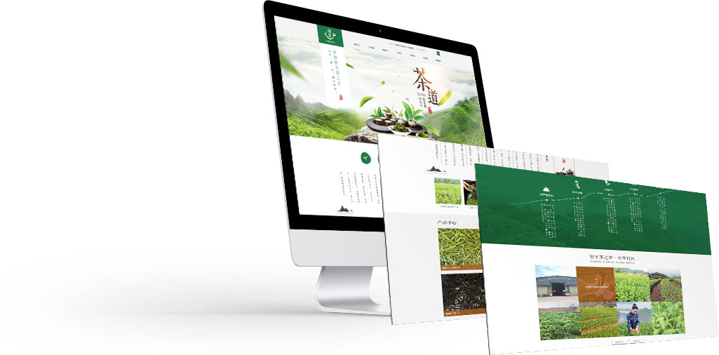 個性化設(shè)計塑造企業(yè)形象 大浪科技品牌網(wǎng)站建設(shè)